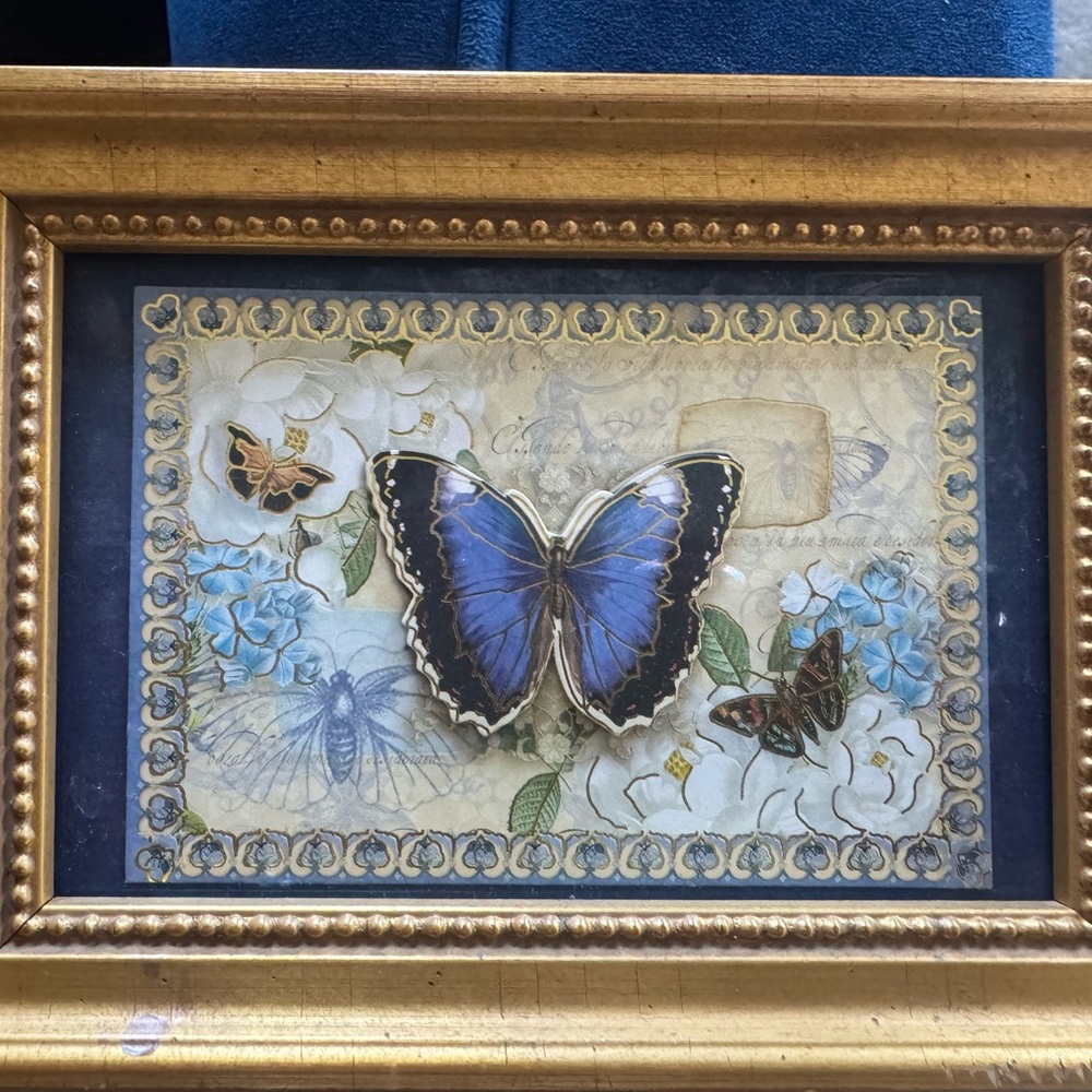 Framed Blue Butterfly Art